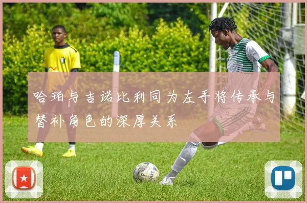 哈珀与吉诺比利同为左手将传承与替补角色的深厚关系