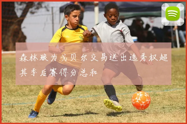 森林狼为戈贝尔交易送出选秀权超其季后赛得分总和